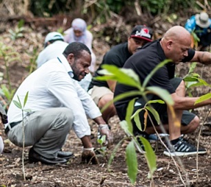 Samoa planted 2,215,756 trees during the Two Million Tree Campaign from 2015 – 2020. Photo: Vaitogi A. Matafeo