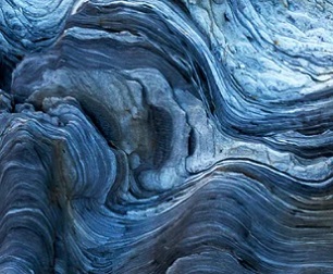 how 20th century settler writers foreshadowed the Anthropocene. Credit - Shutterstock/Francisco Duarte Mendes