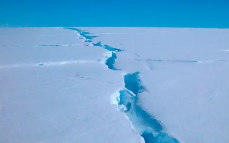 Climate change and the threat of industrial fishing are pressuring Antarctic marine life. Photograph: Richard Coleman/AFP/Getty Images