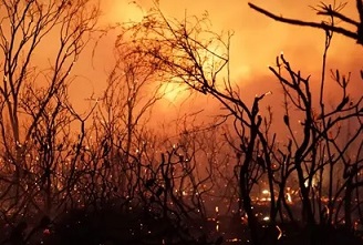The claim national parks have been ‘locked up’ has been described as a ‘very tired and very old conspiracy that is always regurgitated and it’s always found to be wanting after the fires’. Photograph: Rob Griffith/AFP/Getty Images