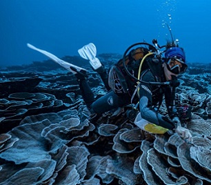A coral reef site in pristine condition has been opened to the eyes of the world in French Polynesia Photo: Alexis Rosenfeld #1Ocean