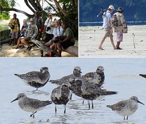 Belau National Museum Education Campaign on the Northern Peleliu Lkes. Credit - https://islandtimes.org/
