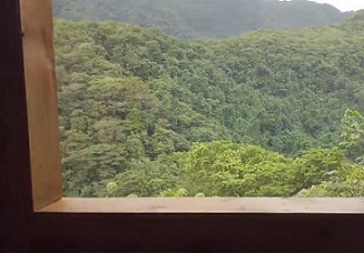 Samoa's bird-watching nature trail opens