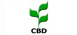 CBD logo