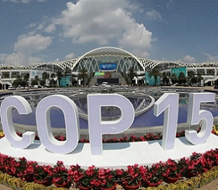 source - www.foodsovereignty.org