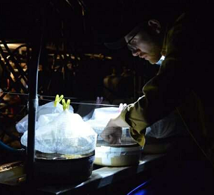 Credit: Trinity College Dublin