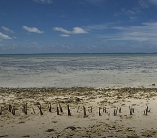 Climate change a 'threat' to Pacific Food Systems. Credit - www.emtv.com.pg
