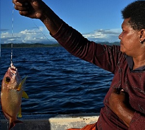 Warmer seas are disrupting coastal ecosystems, while stocks of valuable species have been plundered by foreign vessels. Credit - Steven Trask