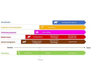 Feasibility of conservation areas and the different genomic and biotechnological tools. Each line and color presents one of the main conservation problems. The timeline indicates the feasibility of the listed tools for current and future potential conservation applications. Credit: DOI: 10.1007/s10592-021-01415-5