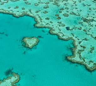 Credit: Edward Hodgkin