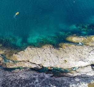 Sea life around the Coromandel coast has visibly declined over the past 25 years, says Everth. Photo: Ferntech/ Unsplash