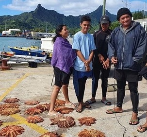 The group collected 20 taramea last week during the 'Ātui'anga ki te Tango senior programme with biologist Dr Teina Rongo. KŌRERO O TE 'ŌRAU 20071221/20071222/20071223