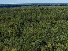  COVID-19 Stimulus Measures Must Save Lives, Protect Livelihoods, and Safeguard Nature to Reduce the Risk of Future Pandemics