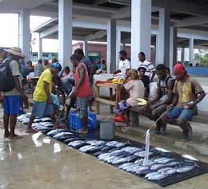 Coastal fisheries provide vital food security and household incomes throughout the Pacific Islands. The fish market, Auki, Malaita Province, Solomon Islands. Credit: Catherine Wilson/IPS