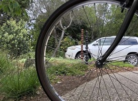 Global carbon dioxide emissions are down dramatically in the wake of COVID-19. A new study pinpoints where energy demand has dropped the most, estimates the impact on annual emissions and points the way to a less polluted future. Credit: Rob Jackson / Stanford University