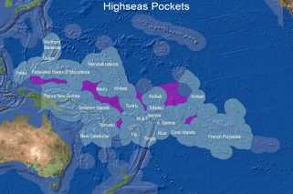 Could Covid help to protect the Pacific’s fisheries?