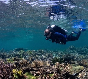 Credit - the Ocean Agency