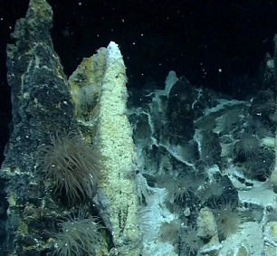 Antarctic hydrothermal vents. Credit: MARUM, Bremen Germany