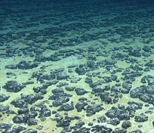 Manganese nodules on the Atlantic Ocean floor off the southeastern United States, discovered in 2019 during the Deep Sea Ventures pilot test. Credit: National Oceanographic and Atmospheric Administration