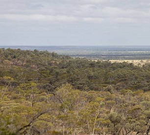 Edgbaston Reserve could be declared a special wildlife reserve. Credit - Peter Wallis