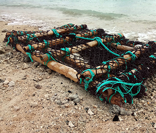 Credit - RaroLens2/Shutterstock  