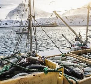 Credit - https://www.the-scientist.com/