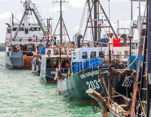 New Zealand introduces plan to put camera aboard all its fishing vessels. Source - https://www.seafoodsource.com/