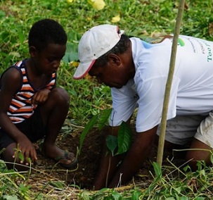 Vanuatu has been commemorating National Forestry and Tree Planting Week since 2016. Credit - MALFFB