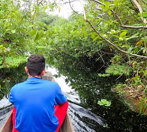 A boat passes through a riverine forest at the Bay of Cispata. Credit - HectorPertuz, Wikimedia Commons