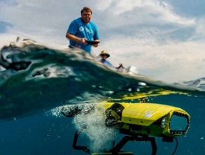 Scientists tackle starﬁsh plagues on Great Barrier Reef. Photo: Gary Cranitch/Queensland Museum/Great Barrier Reef Foundation