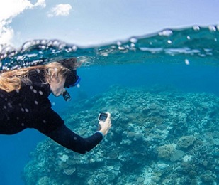 The simple survey methodology allows competent snorkellers to take part in the census.(Supplied: Citizens Of The Great Barrier Reef)
