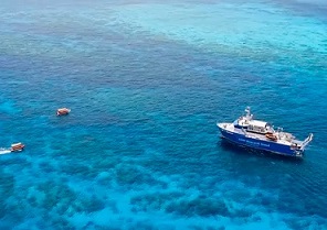 More than 100 coral reef scientists took part in the feasibility study. Nick Thake/AIMS, Author provided