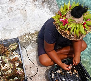 A woman preparing paua on a kaoa in Manihiki. Credit - EMMANUEL SAMOGLOU