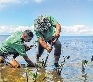 Credit - Fiji Hotel and Tourism Association