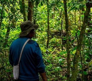 indigenous peoples. Credit - Mongabay.com