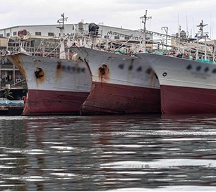 Report finds gaps in RFMOs’ measures targeting eradication of tuna IUU. Source -https://www.seafoodsource.com/  