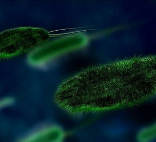 How the world can prevent emerging infectious diseases and protect food security. Credit: Pixabay/CC0 Public Domain