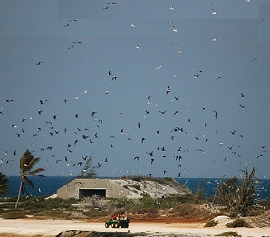 Johnston Atoll Wildlife Refuge. Credit - www.Touristlink.com