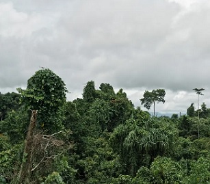 Photograph: Riccardo Testolin/Getty Images