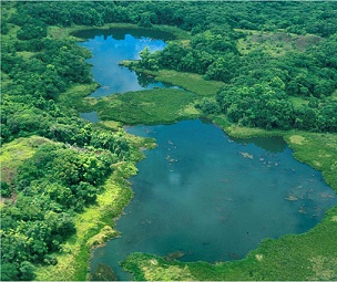 Lake Ngardok Nature Reserve, Palau. Credit - C. Joseph