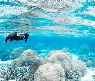 NPS diver officer Bert fuiava snorkels in the shall Ofu pools. This lagoon provides scientists with a living laboratory to study the impacts of rising sea temperatures on corals. Credit - Changing seas