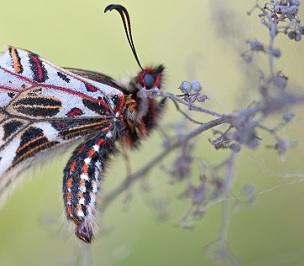 Credit: CC0 Public Domain