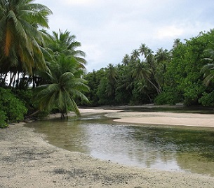 Madmad Island, Namdrik Atoll, Marshall Islands. Credit - V. Jungblut