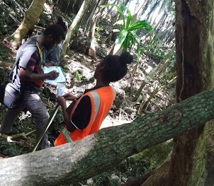 Credit - https://www.einnews.com/