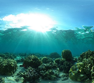 Reefscape of the Mo'orea backreef. Credit: Shayle Matsuda / UH SOEST.