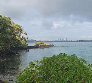 Motutapu Island is having a tough run with four stoat invasions in one year. Photo: Lotte Van Den Hout