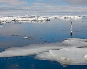 A NEMO float, which is part of the Argo program, sits atop the waters of the Arctic Ocean after being deployed from the German icebreaker Polarstern. Credit - ARGO PROGRAM