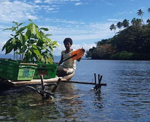 nature based recovery. credit - Fiji Ministry of Forestry
