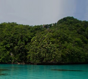 Ngeanges Island, Palau. Source - https://www.islandconservation.org