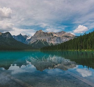 Credit: Unsplash/CC0 Public Domain